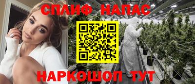 Альфа ПВП Будённовск