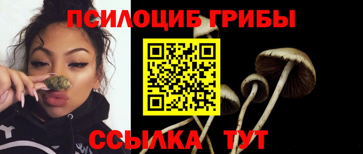 Галлюциногенные грибы MAGIC MUSHROOMS  Вход с VPN  Куйбышев  Псилоцибиновые грибы Psilocybine cubensis 